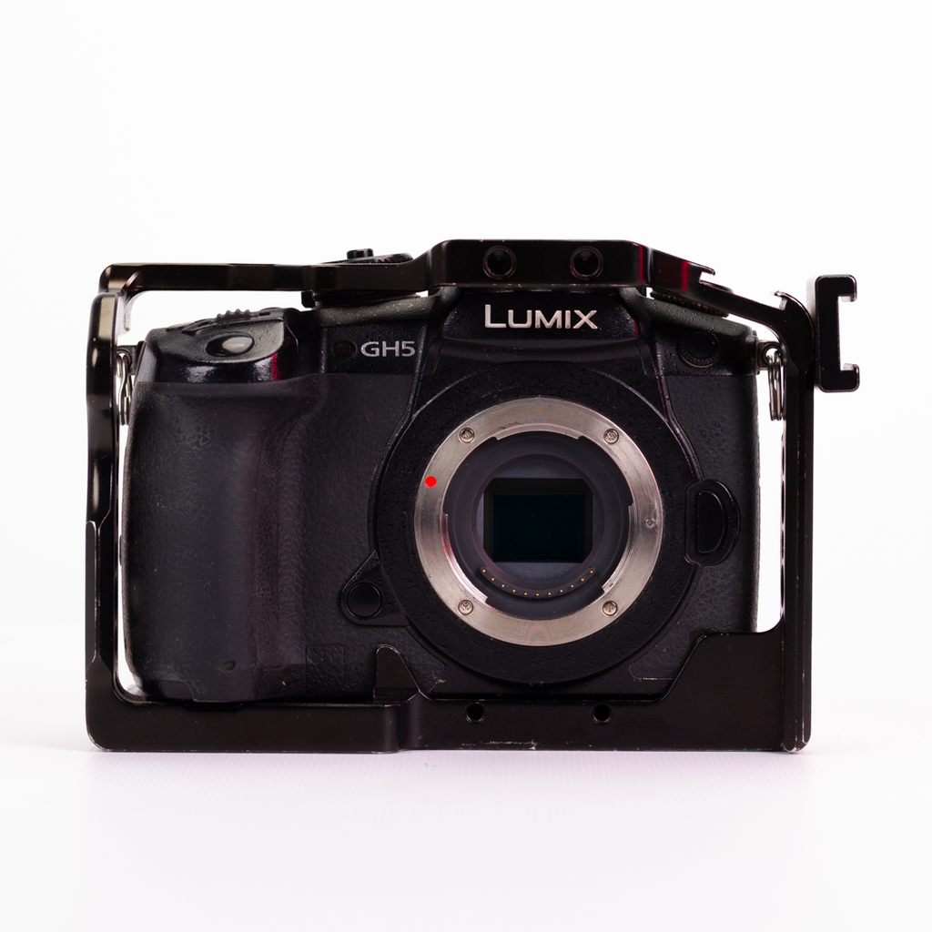 Panasonic GH5